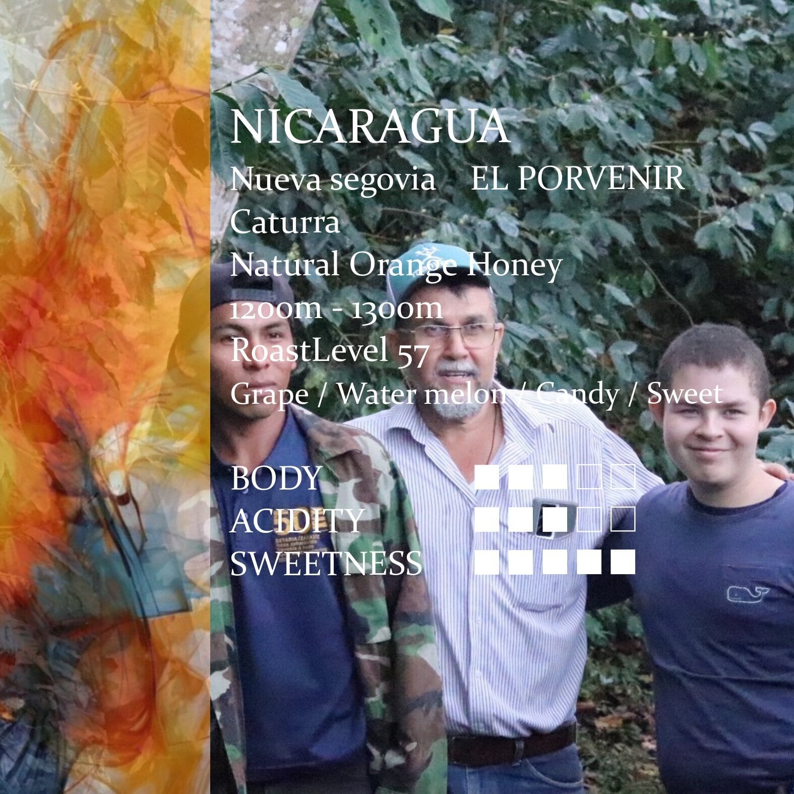 Nicaragua El Porvenir Natural Orange Honey