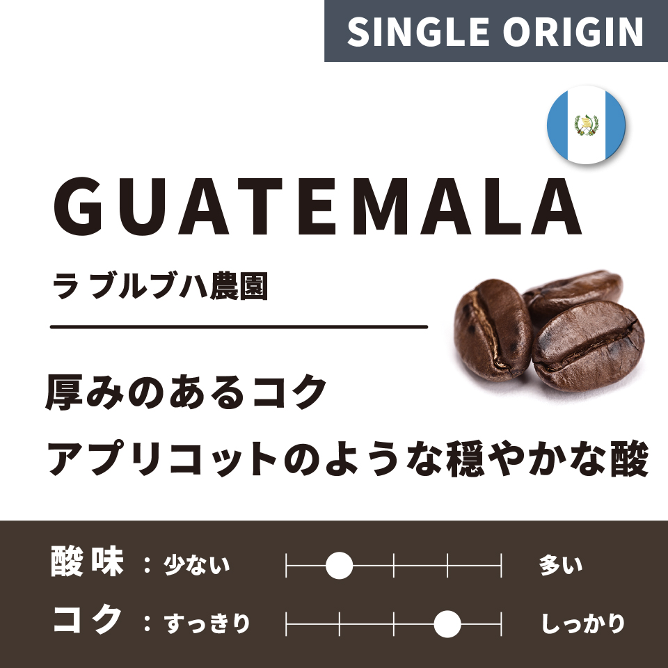 Guatemala La Brujita Farm