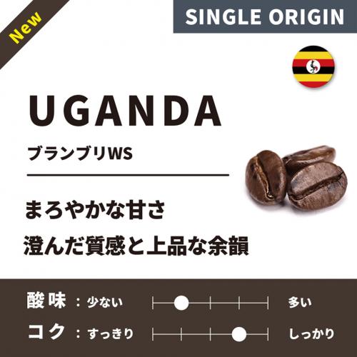 Uganda Bulambuli WS