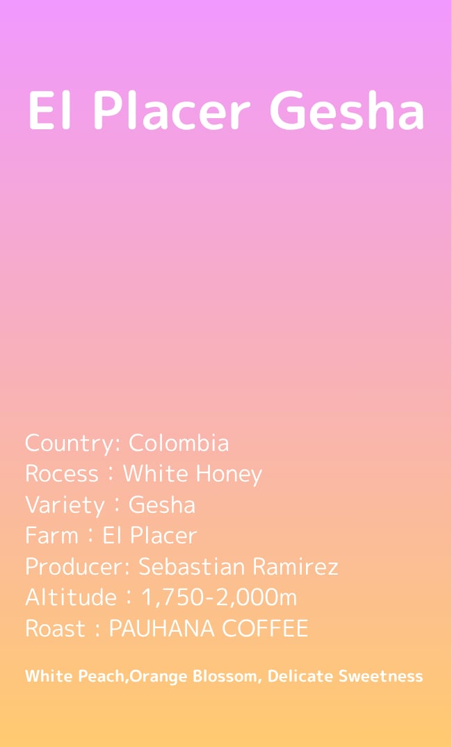 Colombia El Placer Gesha