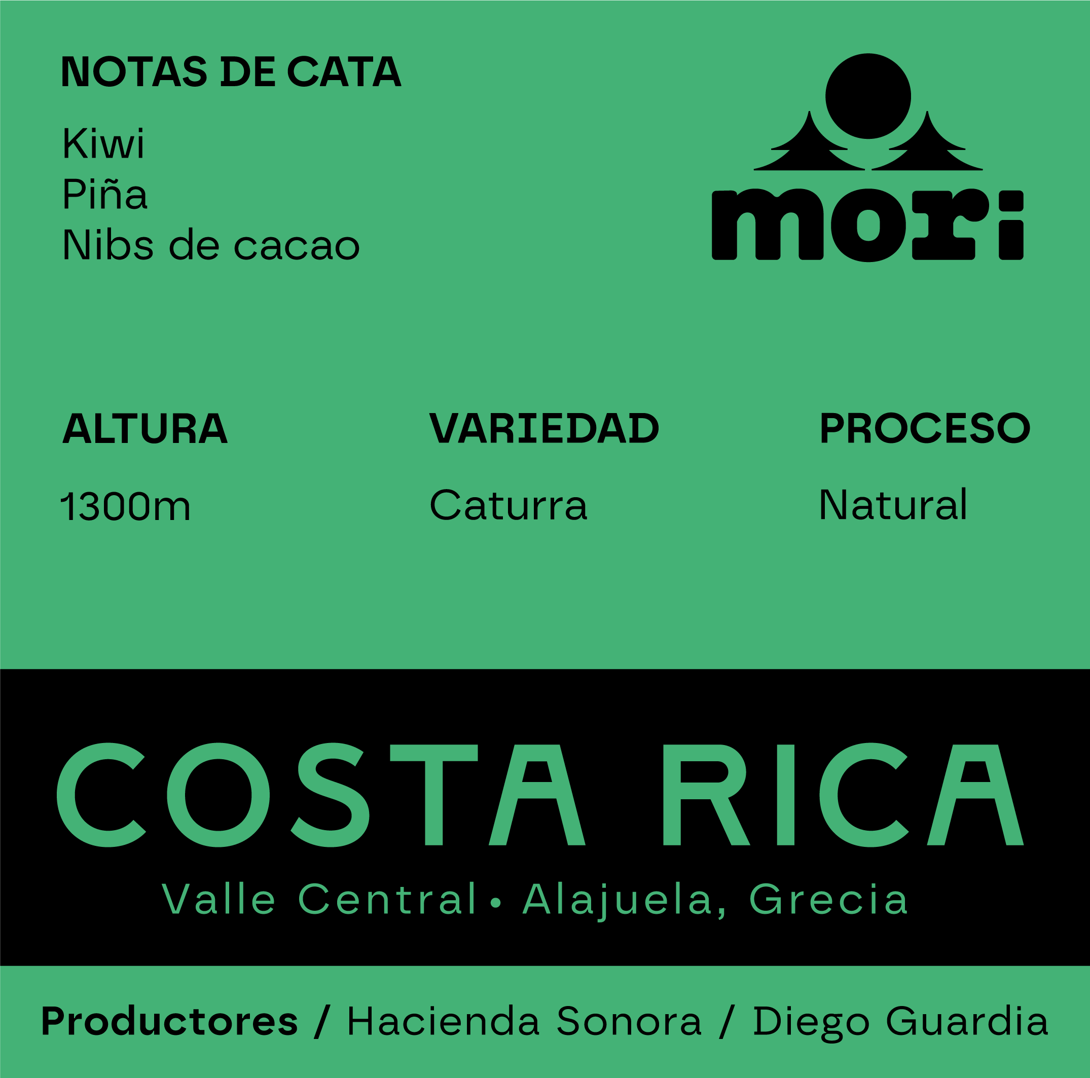 Costa Rica — Hacienda Sonora — Natural