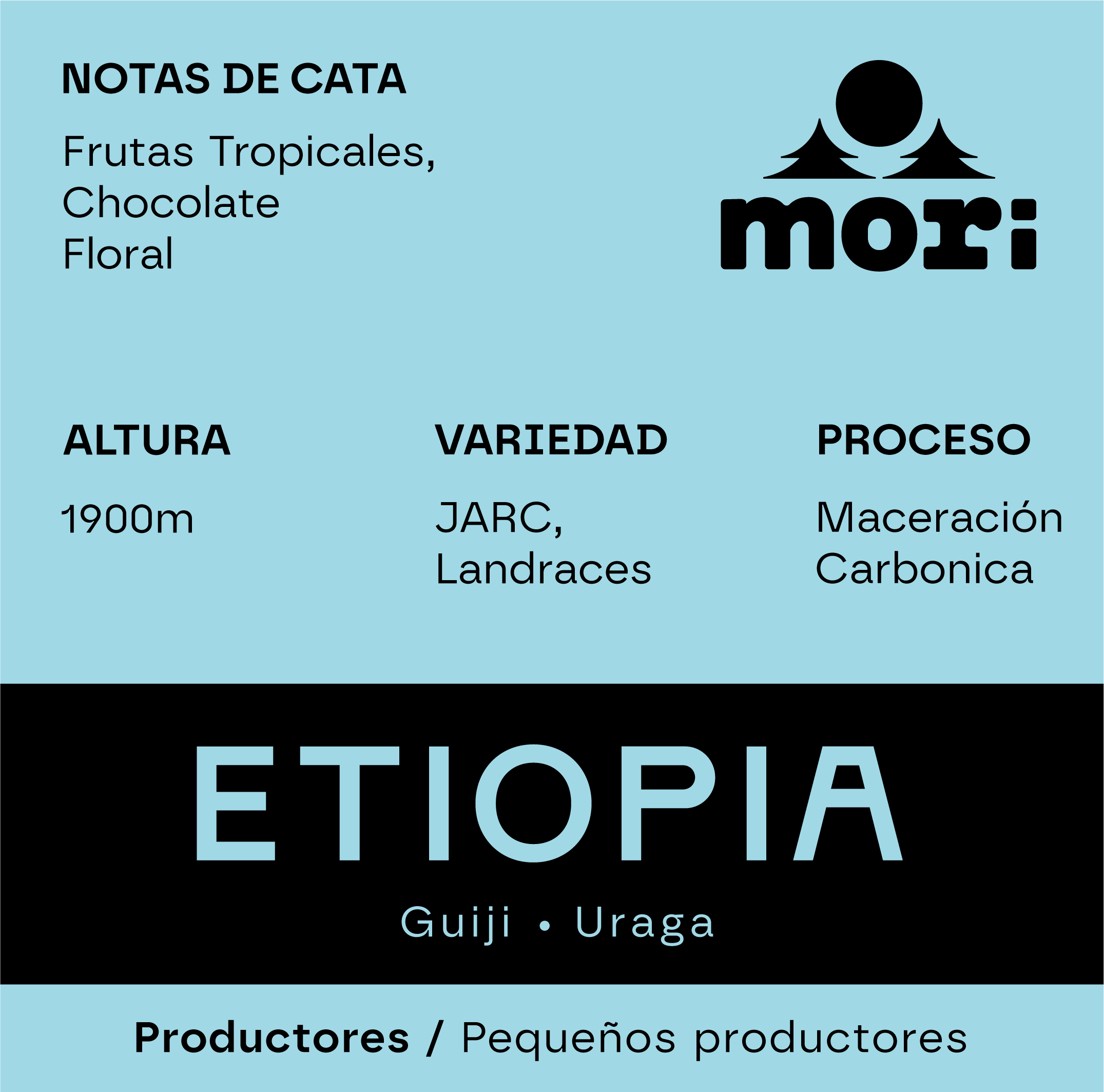 Ethiopia — Guji — Uraga — Maceración Carbónica