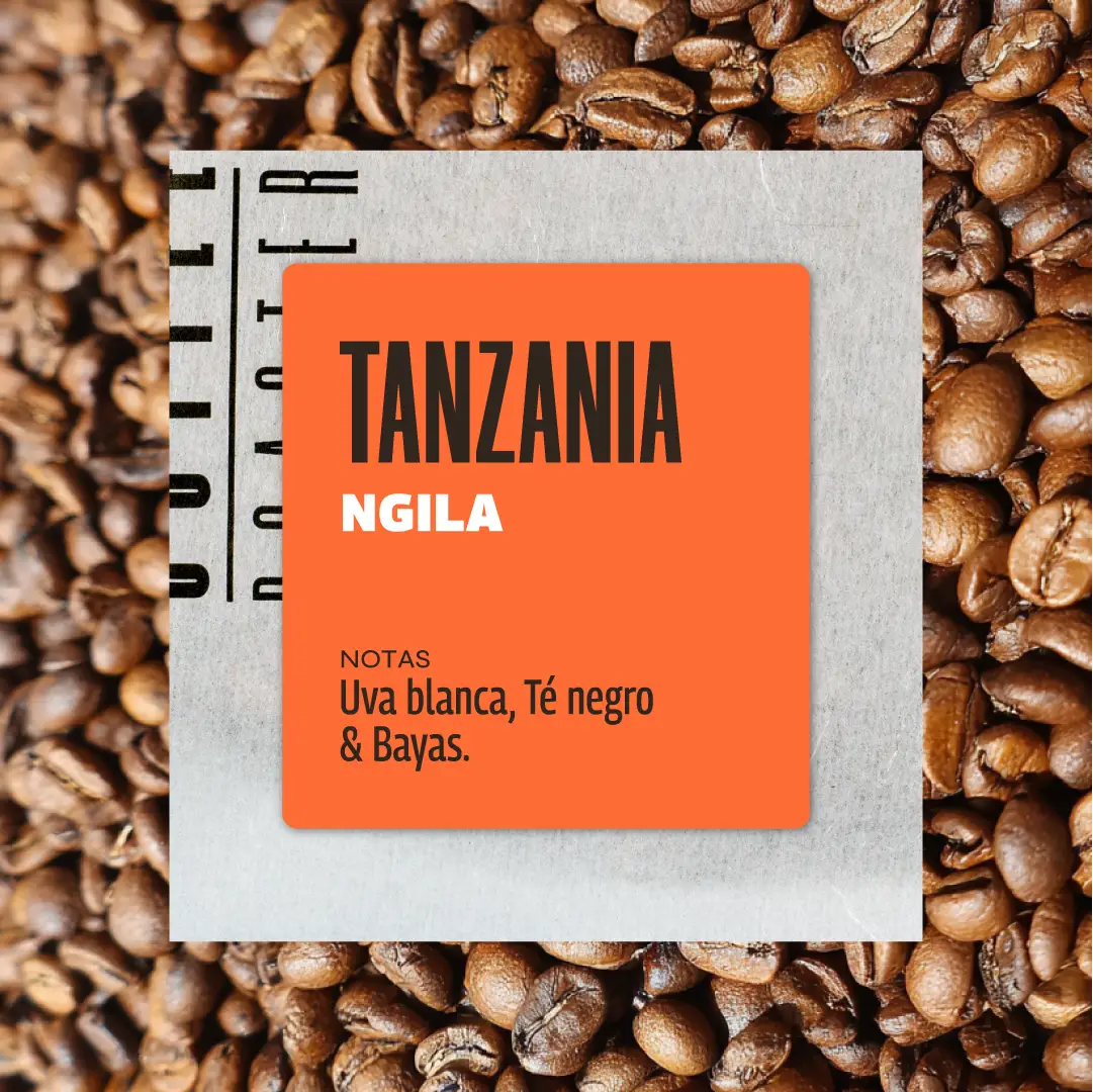 Tanzania Ngila