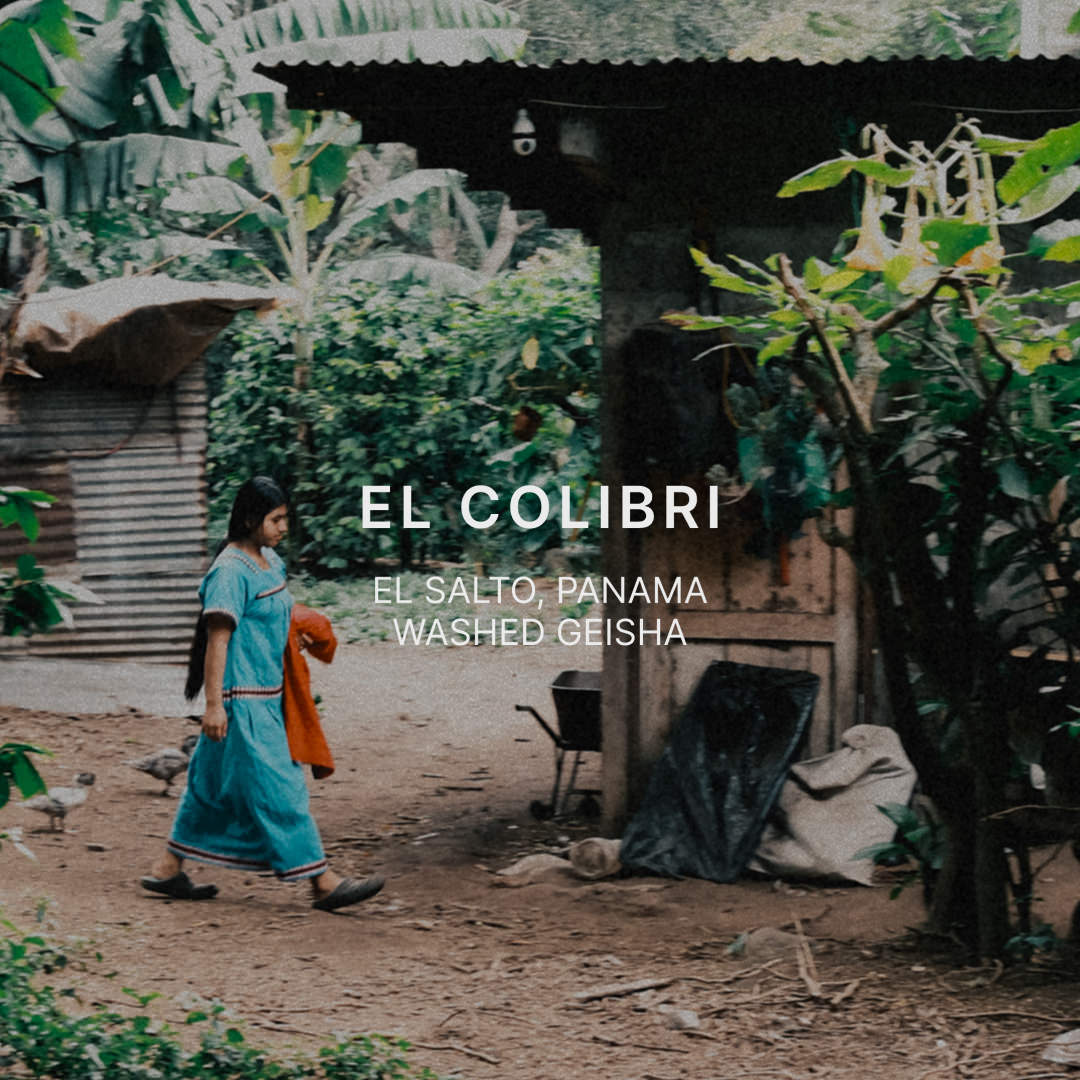 EL COLIBRI