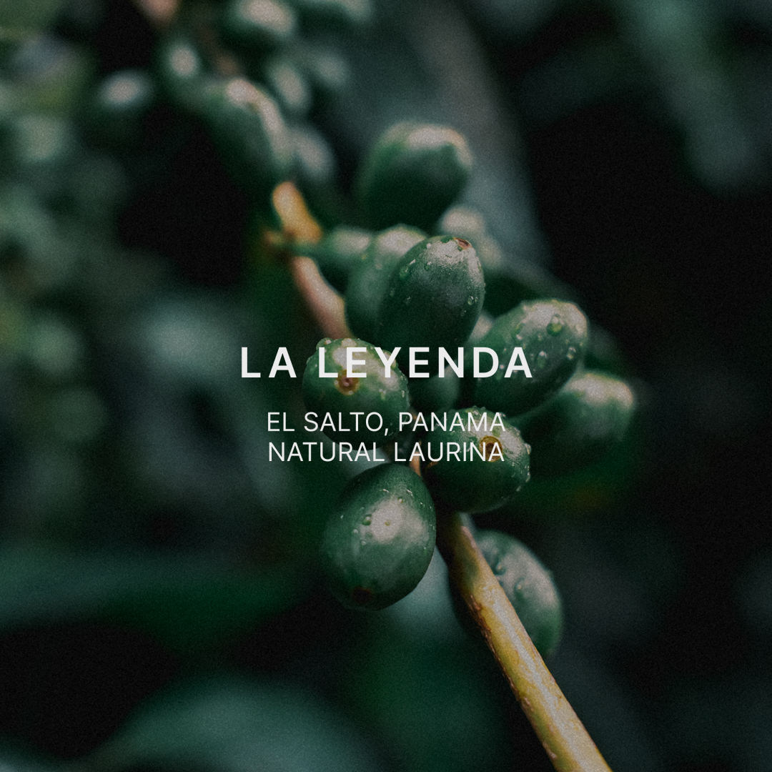 LA LEYENDA