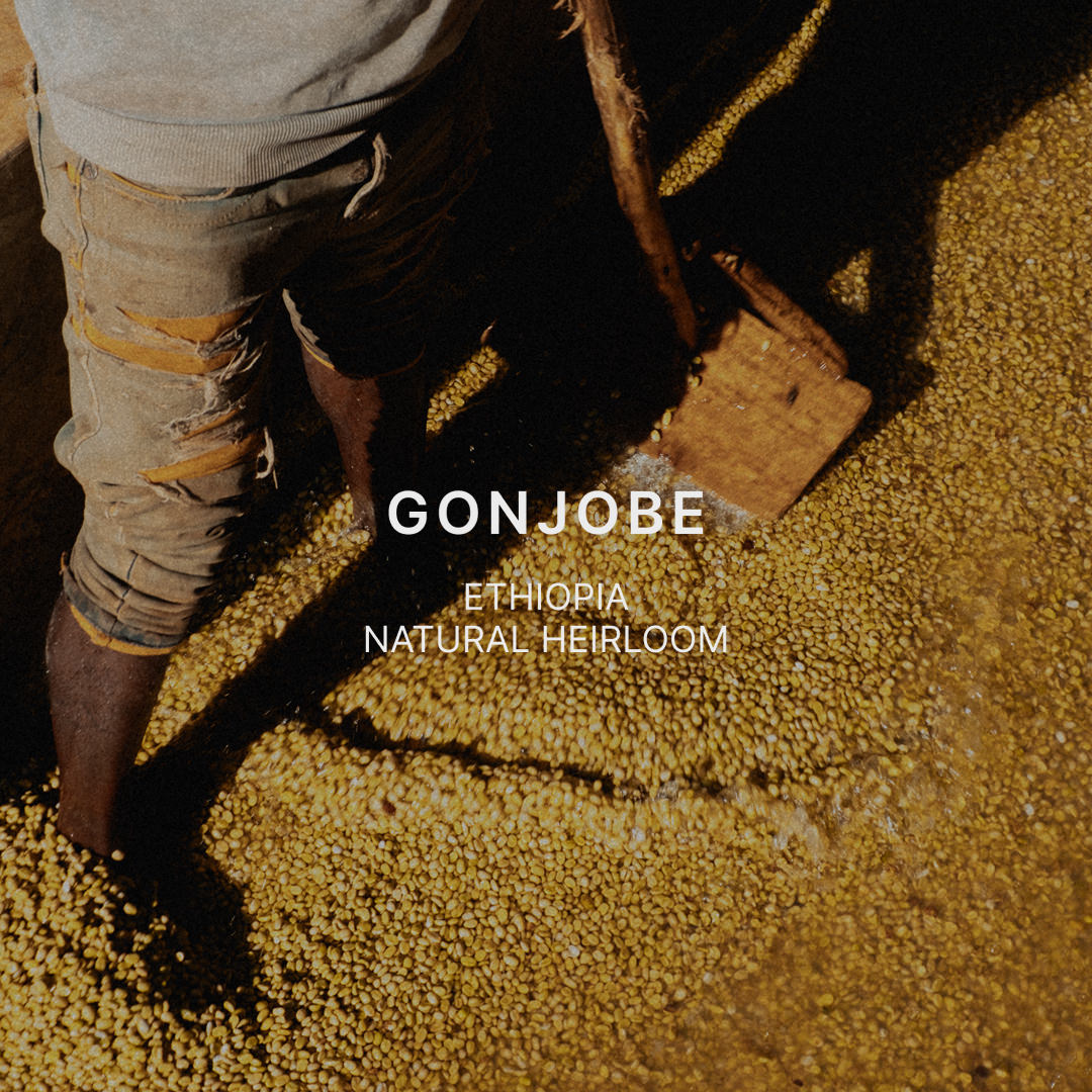 GONJOBE