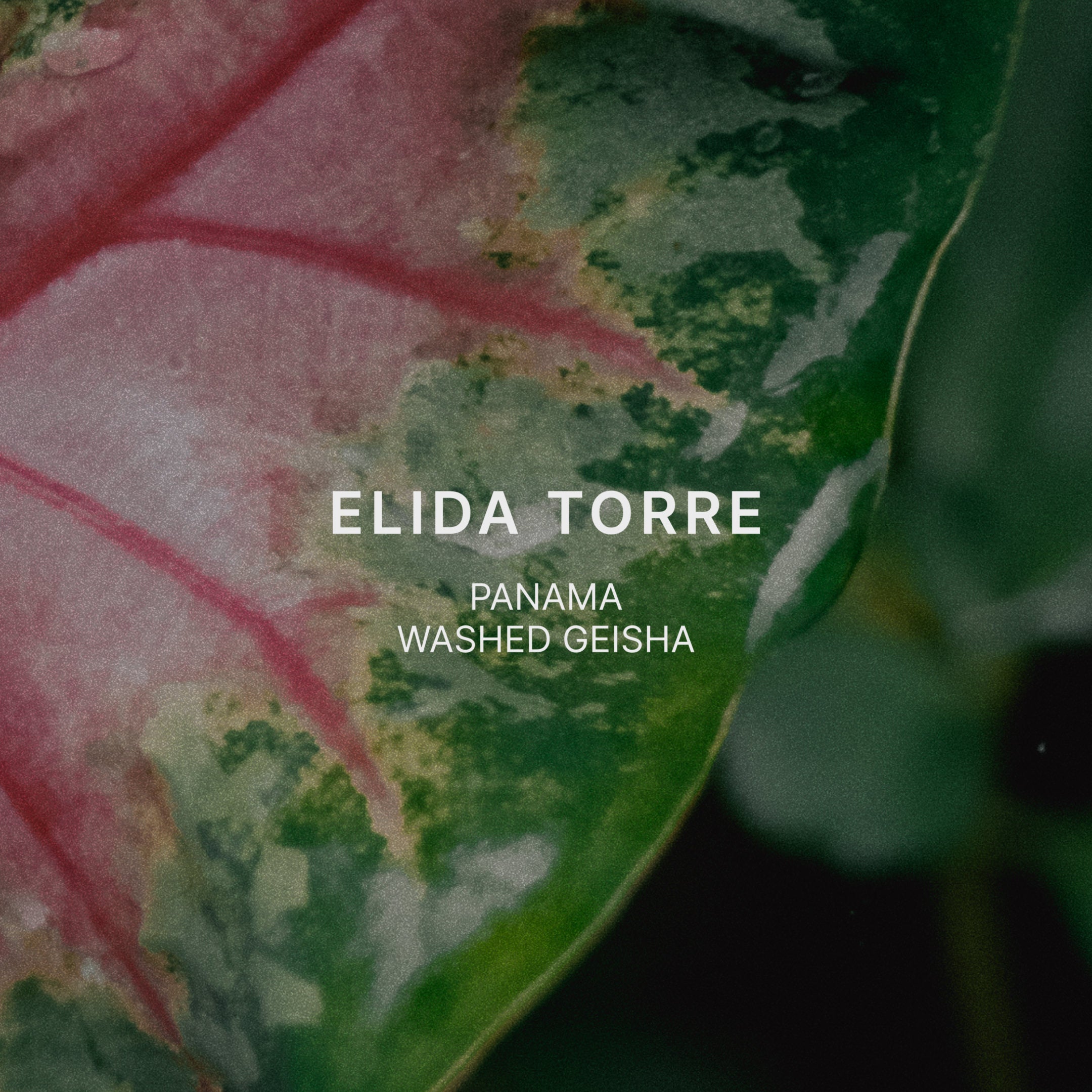 ELIDA TORRE