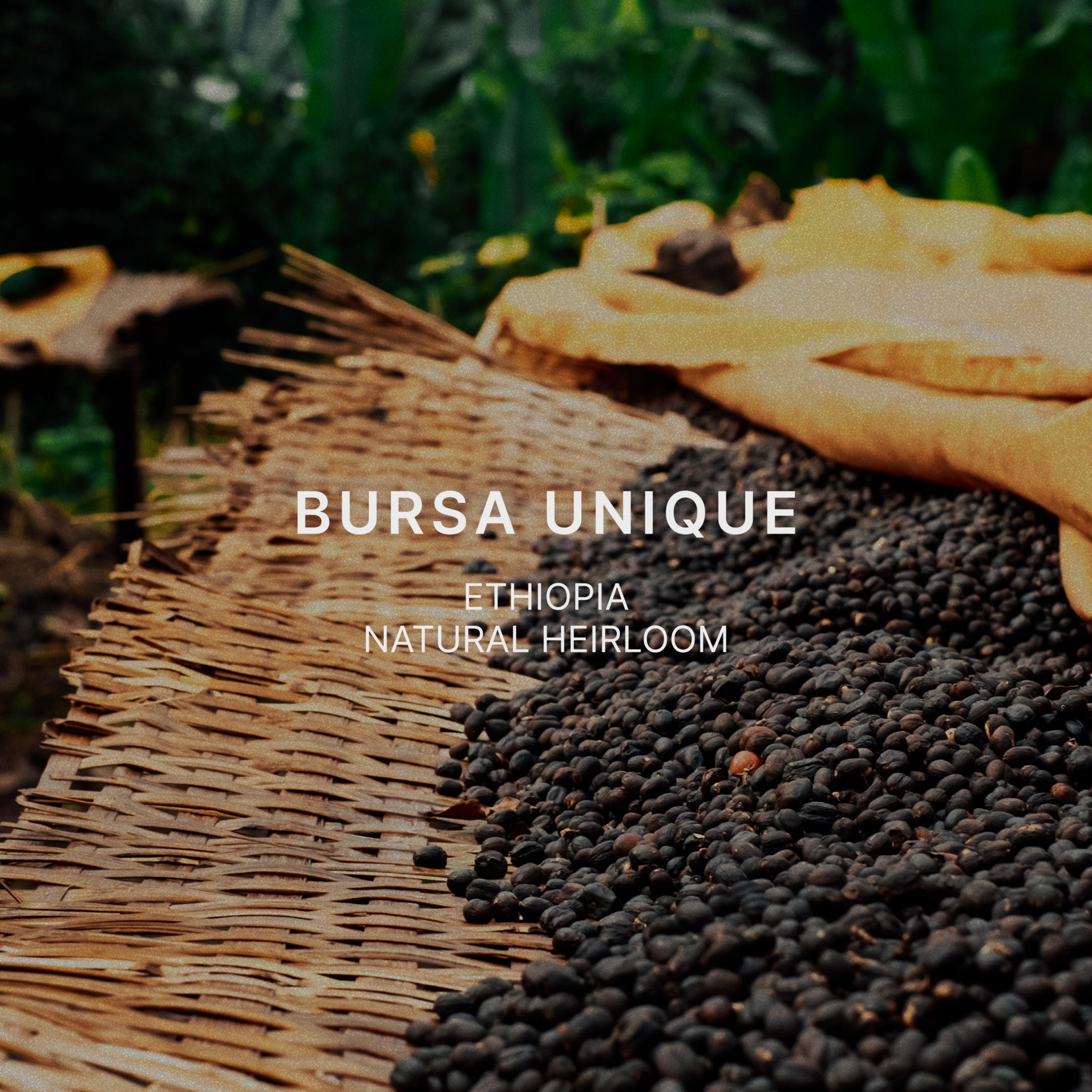 BURSA UNIQUE