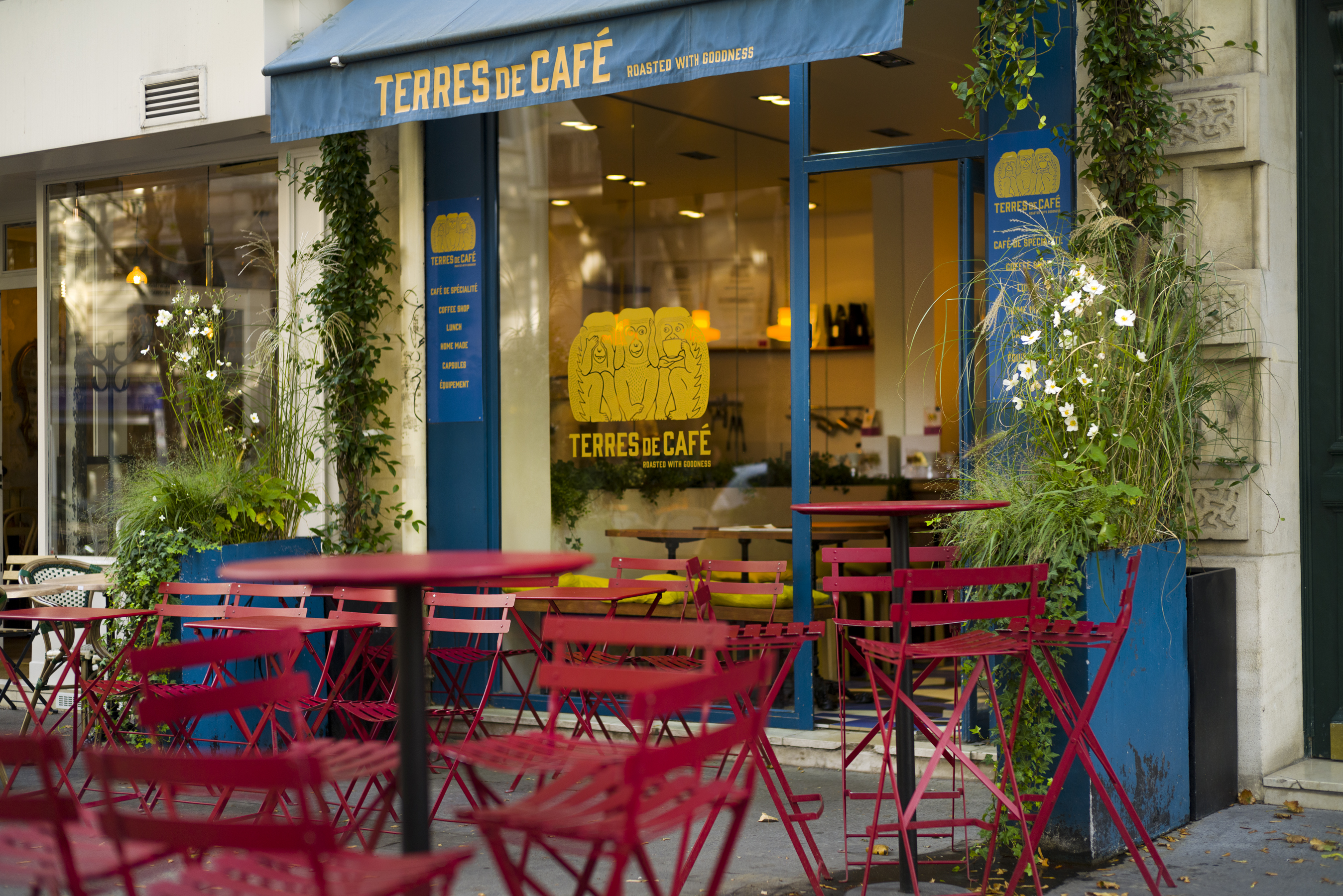 Terres de Café - Bourdonnais