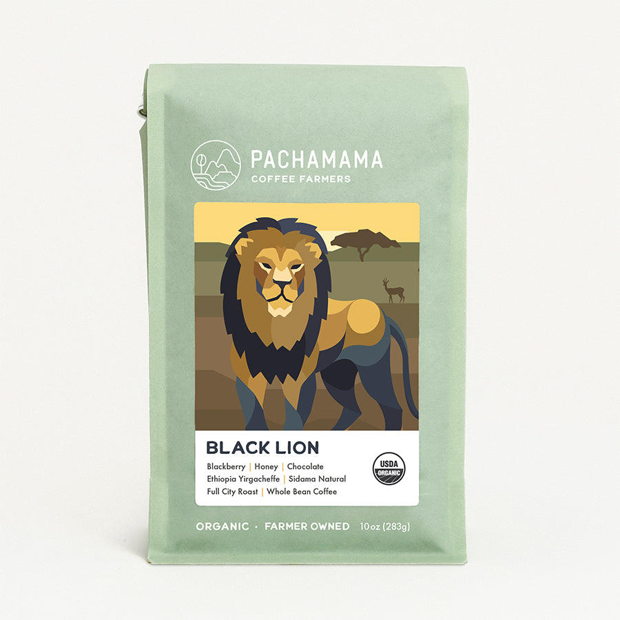 Ethiopia Black Lion