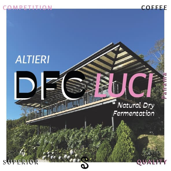 Altieri DFC Luci 240124