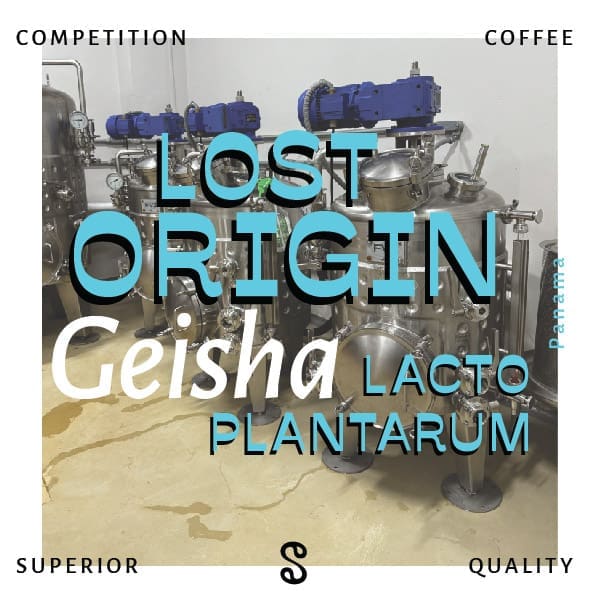 Lost Origin