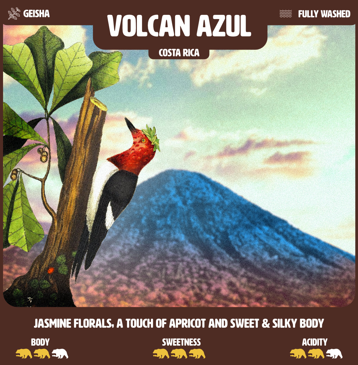 Volcan Azul, Costa Rica