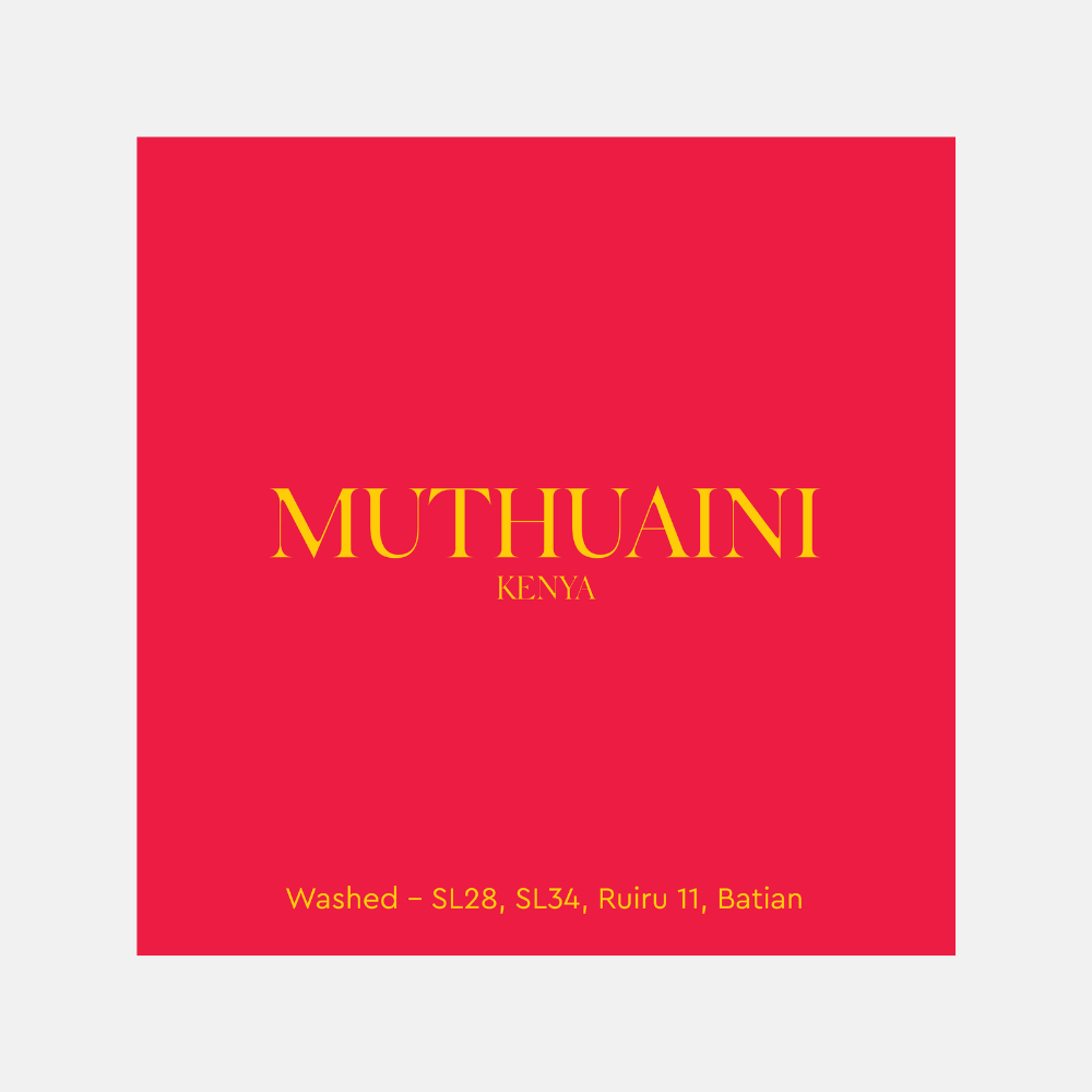 Muthuaini – Kenya
