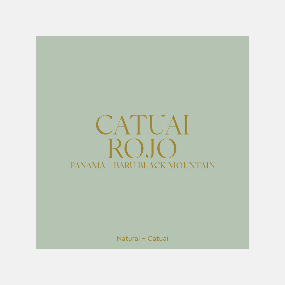 Catuai Rojo – Panama