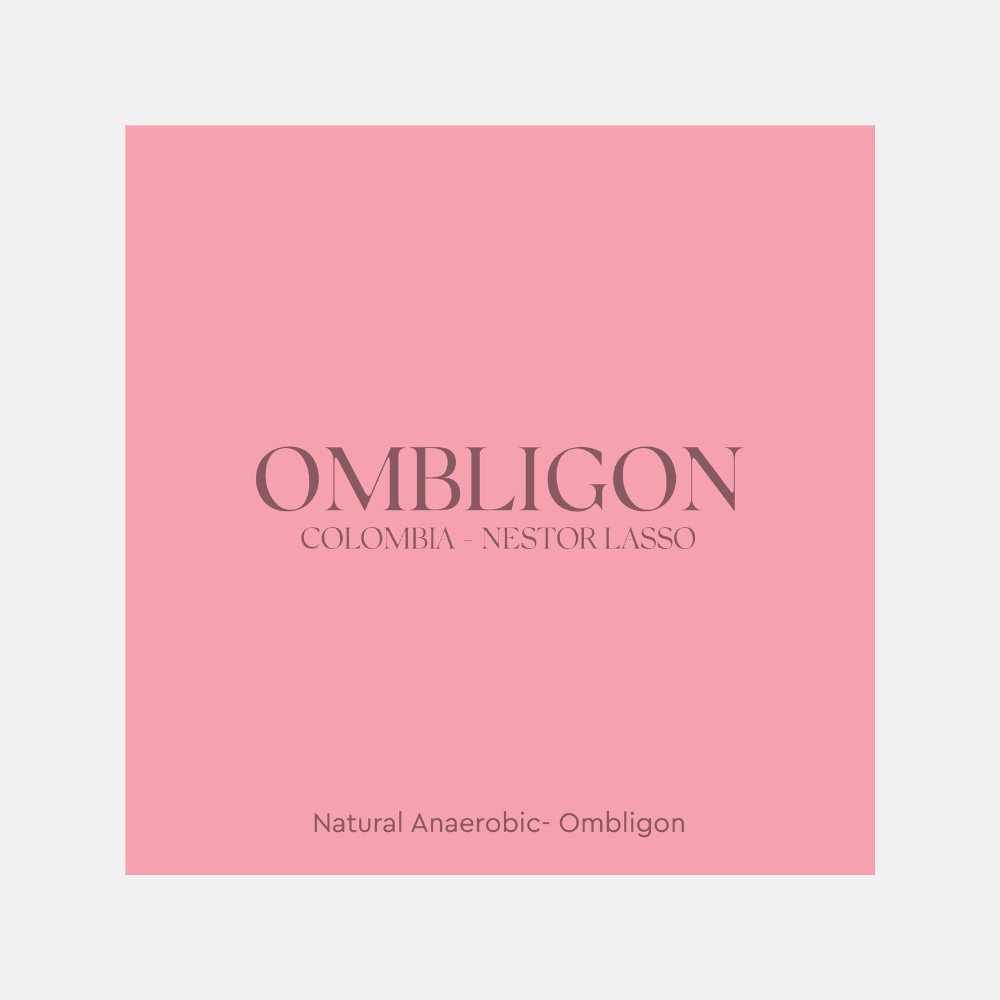 Ombligon Nestor Lasso – Colombia