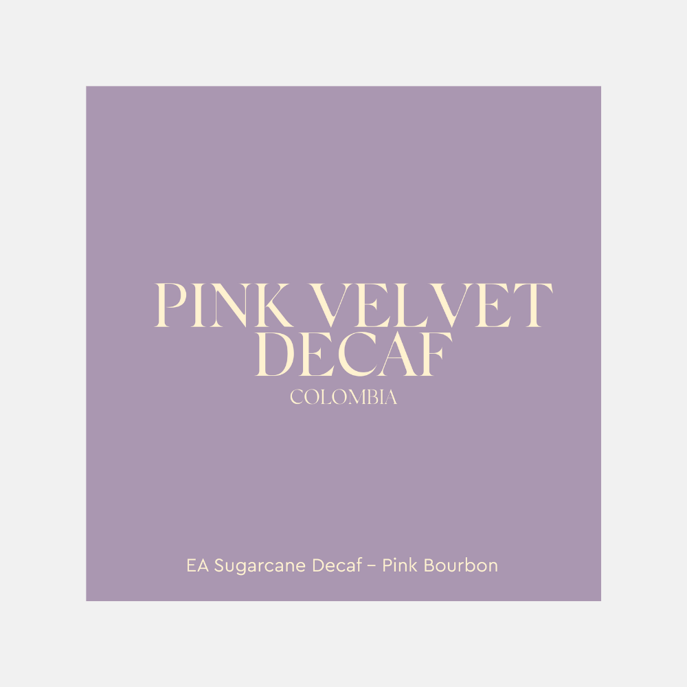 Pink Velvet – Decaf Colombia