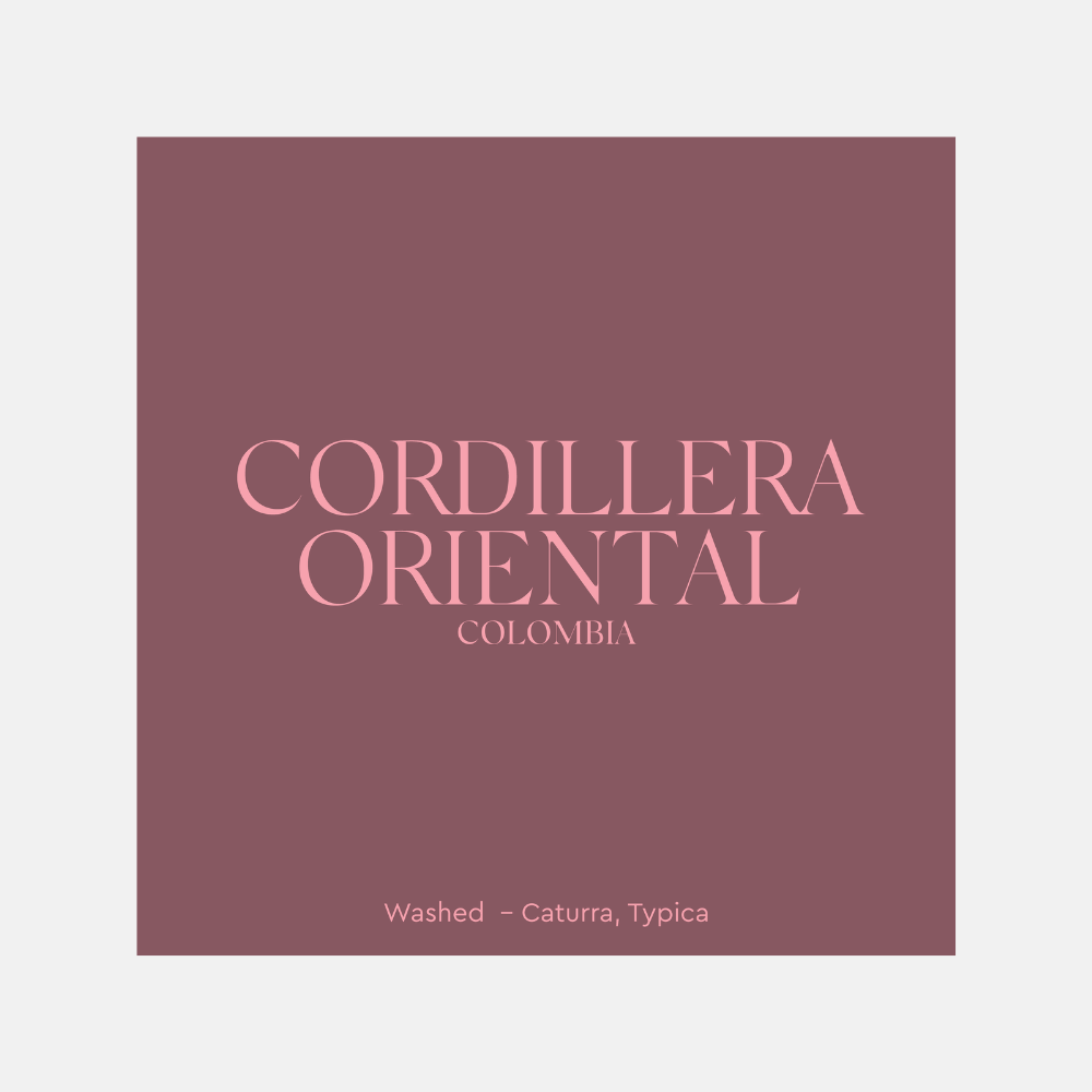 Cordillera Oriental – Colombia