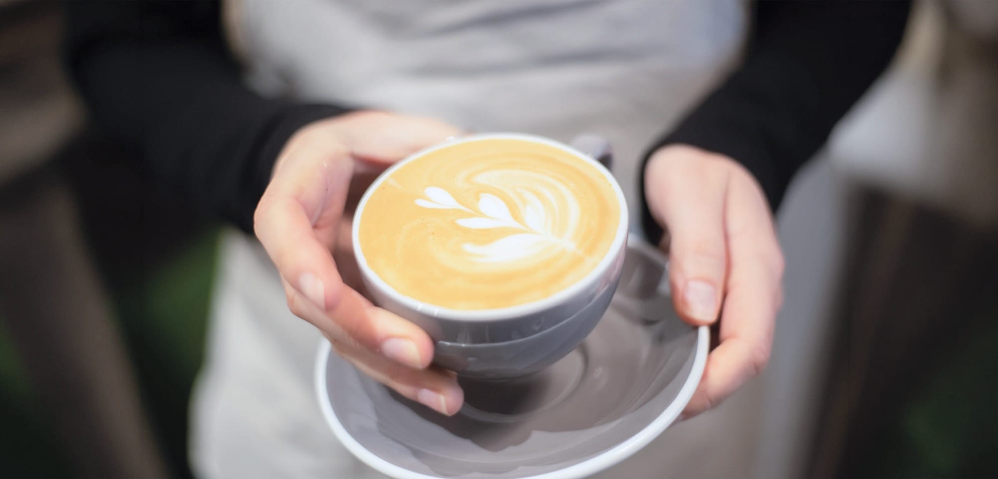 Elysian Coffee – 7th & Ontario Roastery