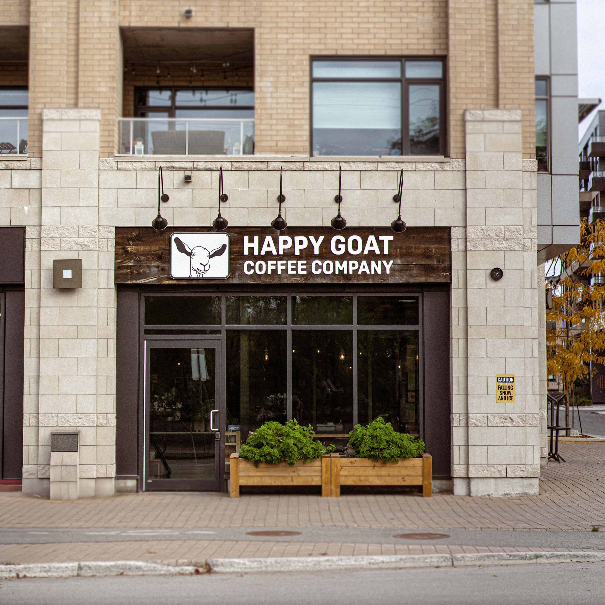 Happy Goat Coffee – Main