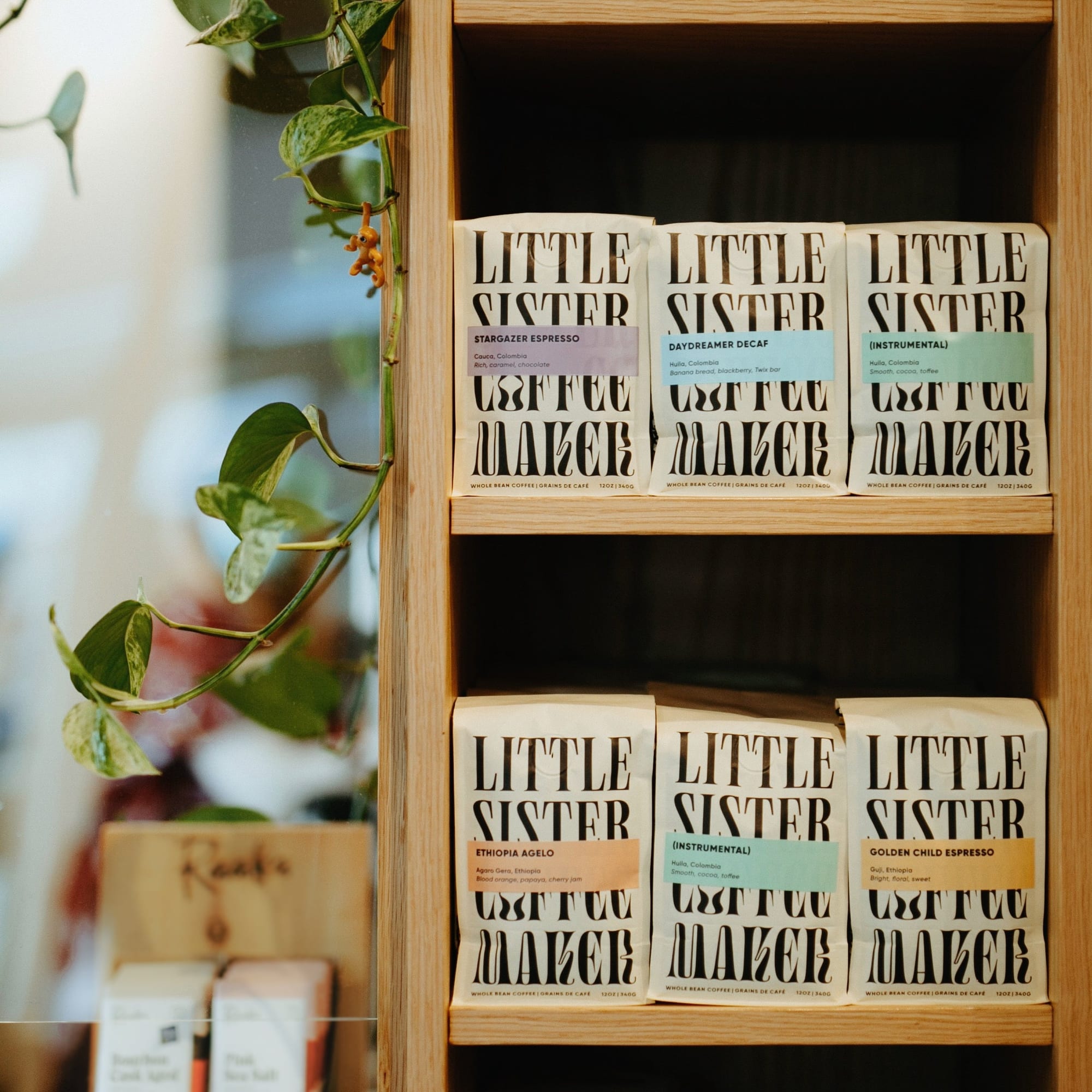 Little Sister Coffee Maker – Osborne Village